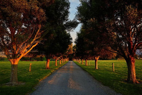 The Artists Retreat - Accommodation New Zealand 7