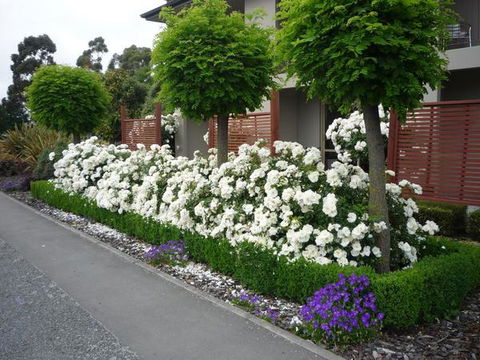 Ashburton Motor Lodge And Conference Centre - Accommodation New Zealand 6