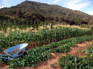 Okopako Lodge - Accommodation New Zealand 3