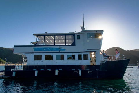 Aquapackers - Accommodation New Zealand 0