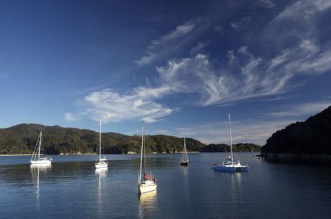 Aquapackers - Accommodation New Zealand 5