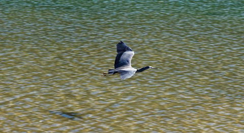 Aquapackers - Accommodation New Zealand 6