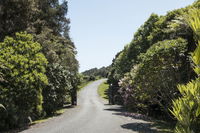 Woodland Glen Lodge