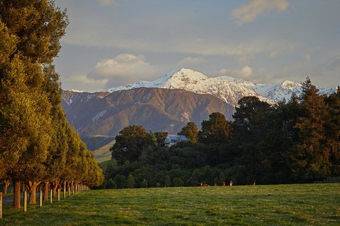 The Artists Retreat - Accommodation New Zealand 2