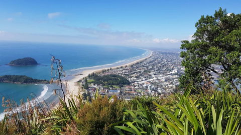 Beachside Bed & Breakfast - Accommodation New Zealand 5