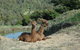 Alpaca Farmstay - thumb 2