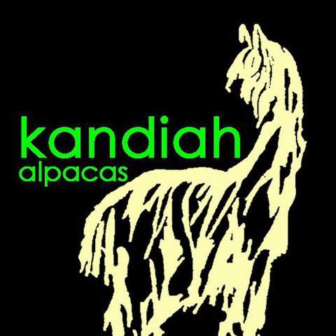 Alpaca Farmstay - Accommodation New Zealand 7