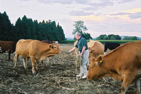 Rural Tours Ltd - Accommodation New Zealand 2