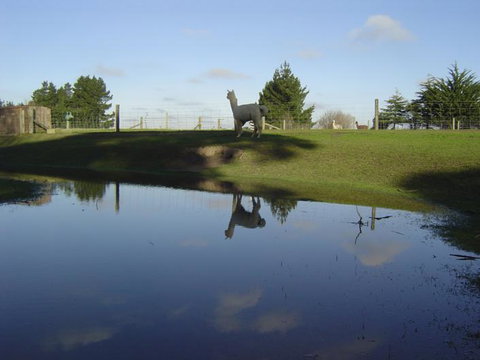 Warwickz Farm - Accommodation New Zealand 0