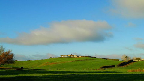 The Clubhouse Farmstay - Accommodation New Zealand 0