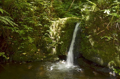 Fern Ridge Hideaway - Accommodation New Zealand 2