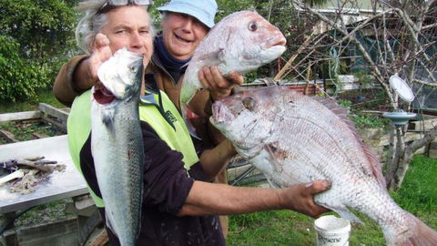 Black Bach - Tolaga Bay - Accommodation New Zealand 6