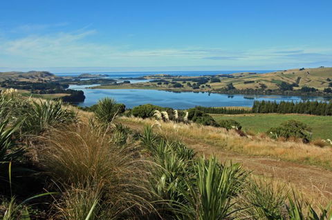 Tiromoana - Catlins Ocean View Accommodation - Accommodation New Zealand 6