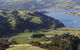 The Barn On Valley Road Vineyard - thumb 5