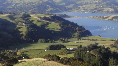 The Barn On Valley Road Vineyard - Accommodation New Zealand 5