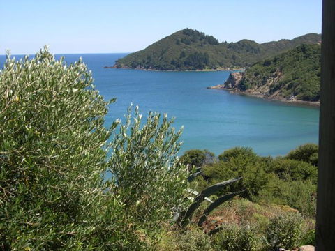 Bay Lodge Cottage - Accommodation New Zealand 3