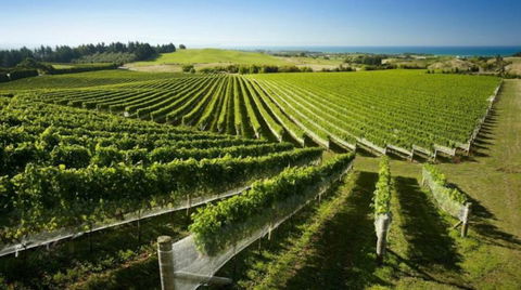 Hidden Valley Villa - Accommodation New Zealand 5