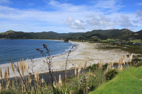 Medlands Beach Backpackers And Villas - Accommodation New Zealand 0