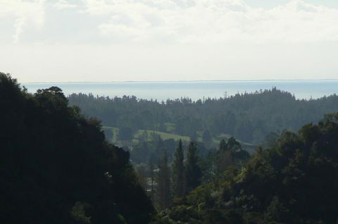 Rocky Ridge Cottage - Accommodation New Zealand 14