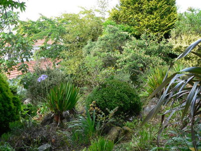 Mount Hobson Boutique Accommodation