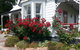 Rose Cottage - thumb 1