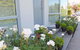 Strowan Townhouse - thumb 19