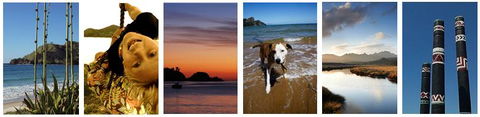Go Great Barrier Island Holiday Packages - Accommodation New Zealand 1