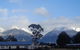 Manapouri Lodge - Quality 5-star Home - thumb 11