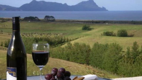 Mountfield Heights Holiday Home - Accommodation New Zealand 0