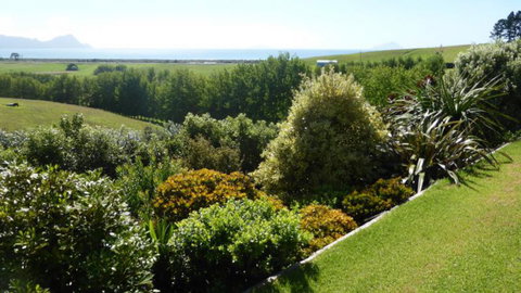 Mountfield Heights Holiday Home - Accommodation New Zealand 13