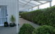 Mountfield Heights Holiday Home - thumb 15