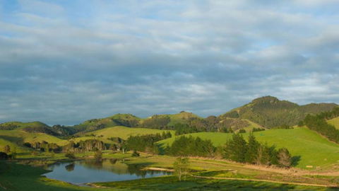 Tahi New Zealand - Accommodation New Zealand 1