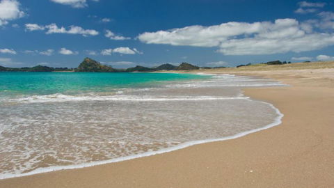 Tahi New Zealand - Accommodation New Zealand 2