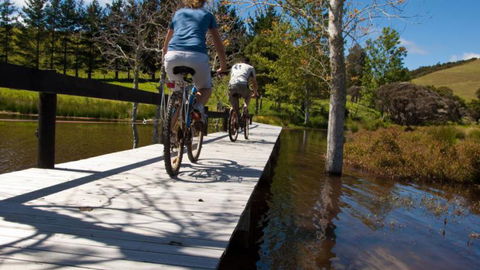 Tahi New Zealand - Accommodation New Zealand 3