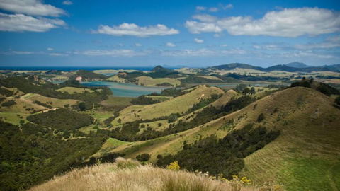 Tahi New Zealand - Accommodation New Zealand 4