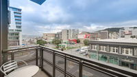 Te Papa Views