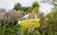 Quince Cottage - thumb 1