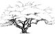 Quince Cottage - thumb 3