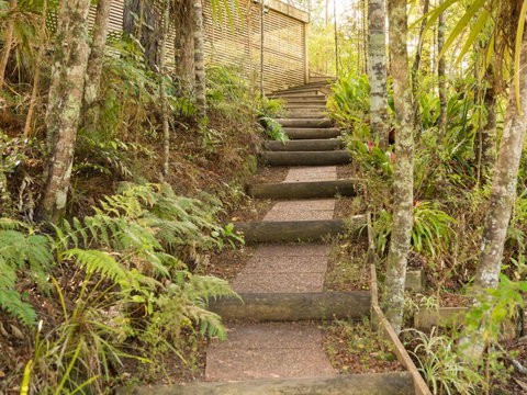 Craicor Accommodation - Accommodation New Zealand 10