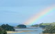 Pohutukawa Cottage - thumb 7