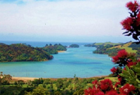 Pohutukawa Cottage - Accommodation New Zealand 8