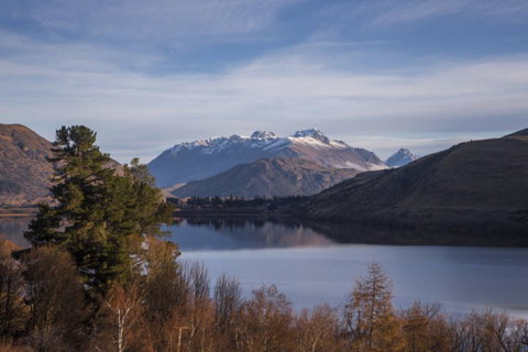 Simply Spectacular - Accommodation New Zealand 1