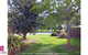 Ascot Retreat - thumb 15
