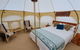 Kawakawa Glamping - thumb 1