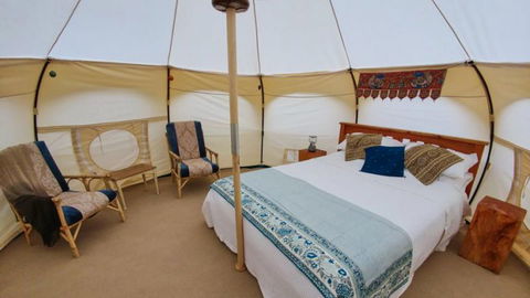 Kawakawa Glamping - Accommodation New Zealand 1