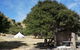 Kawakawa Glamping - thumb 4