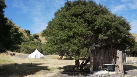 Kawakawa Glamping - Accommodation New Zealand 4