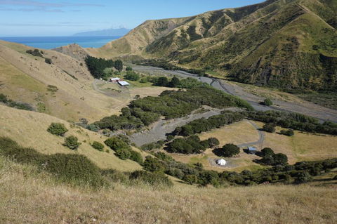 Kawakawa Glamping - Accommodation New Zealand 6