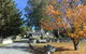 Tekapo 1929 Holiday House - thumb 7