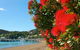 Bay Of Islands Holiday Homes - thumb 3